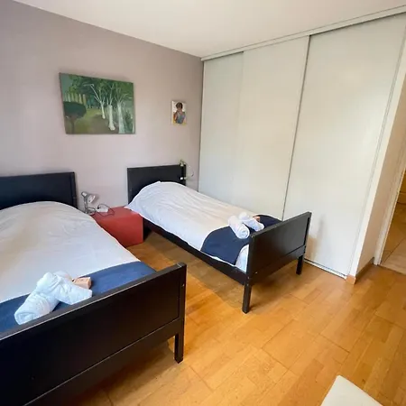 Spacious Close To Attractions 公寓 圖盧茲