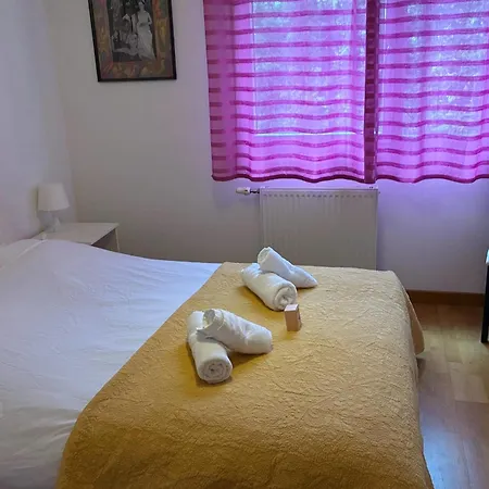 Spacious Close To Attractions Τουλούζη